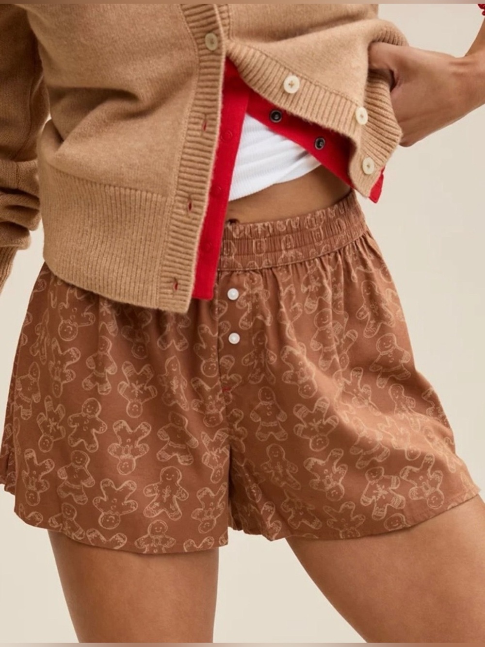NWT Aerie Gingerbread boxer shorts!